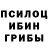 Галлюциногенные грибы мицелий Nulel xd