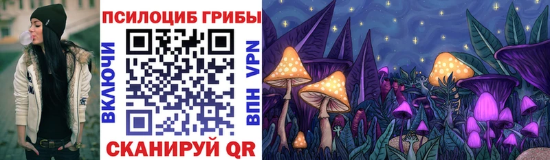 Галлюциногенные грибы Magic Shrooms цены наркотик Чишмы